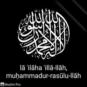 Meet your Posher, Saheed